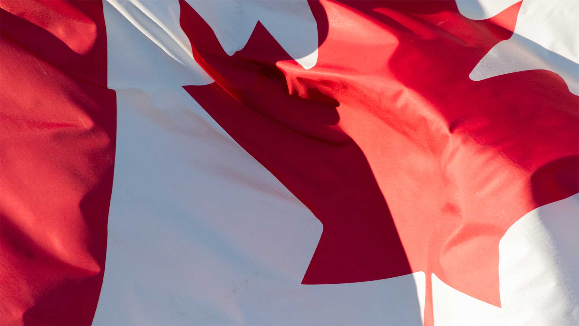Liberal-NDP Coalition Must Give Canadians A Summer Break
